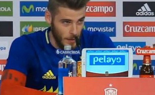 David de Gea: 'Tất cả cáo buộc đều dối trá. Tôi vẫn ở lại tuyển Tây Ban Nha'